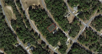 11070 N Morrell Dr, Citrus Springs, FL 34434