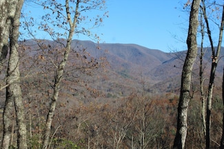 4 Gabriel Ridge, Hayesville, NC 28904
