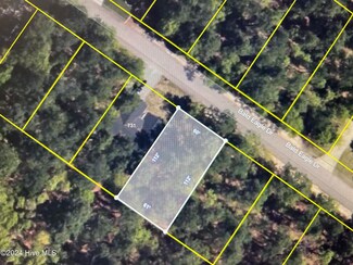 727 Bald Eagle Dr, Vass, NC 28394