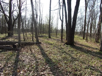 Lot 1 N Lake Dr, Peace Township, MN 55051