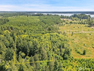 0 TR4 SE Wellswood Way, Shelton, WA 98584