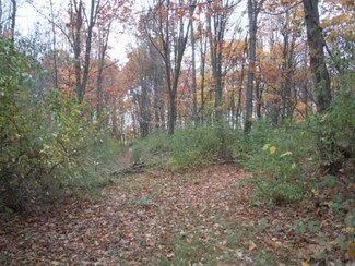 0 Orchard Ln, Vandalia, MI 49095