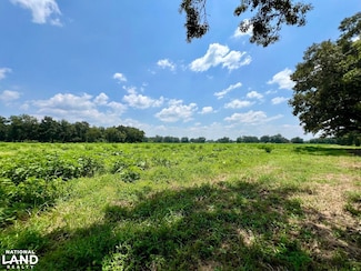 0 Wilmer Rd S Unit 22545465, Wilmer, AL 36587
