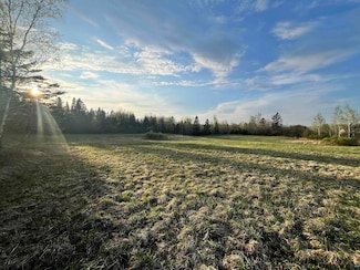 xxx Gleason Rd Unit Between 151 & 163, Thomson Township, MN 55810