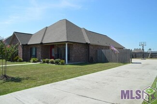 25379 White Lake Ave, Livingston, LA 70754