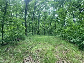 2-46 Wild Turkey Ln Unit 2-46, Moravia, IA 52571