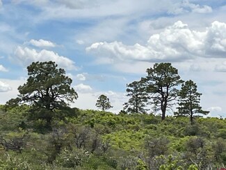 3537 Road 10 8, Dove Creek, CO 81324