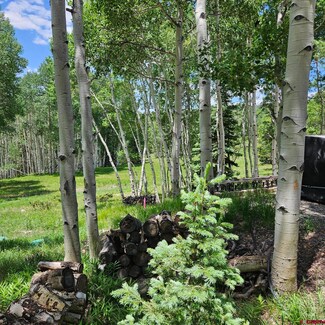 1255 Spruce Rd, Cimarron, CO 81220