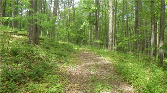 11478 Corks Way, Naples, NY 14512