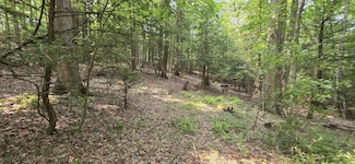 0 Susans Rd Unit 25-297, Mt. Nebo, WV 26679