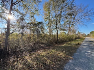 5533 Germanys Ferry Rd, Daviston, AL 36256