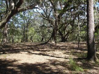 1 Salty Dog Ln, Meggett, SC 29449