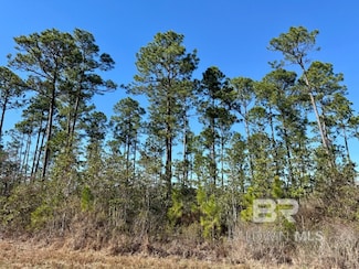 0 Robert White Rd Unit 1-5 374614, Bay Minette, AL 36507