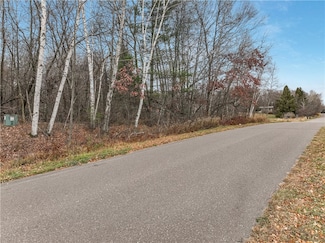 xxx 29 1 2 St, Chetek, WI 54728