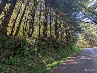 99991 Dowan Creek Rd, Forks, WA 98331