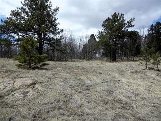 47 Hidden Valley Dr Unit 669, Florissant, CO 80816