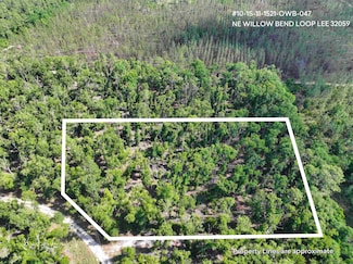 000 NE Willow Bend Loop, Lee, FL 32059