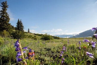 32050 Colorado 149, Creede, CO 81130