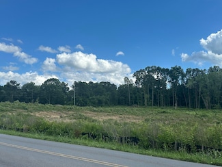 Lots 39-42 Michigan & Minnis Ave, Cleveland, TN 37323