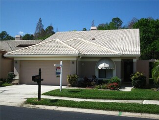 3678 Darston St, Palm Harbor, FL 34685
