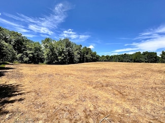 S Riverview Rd, Pipe Creek Township, IN 46970