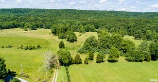 000 Henry Hicks Rd, Herod, IL 62947