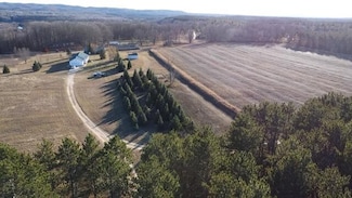 7313 W 12 1/2 Rd, Mesick, MI 49668