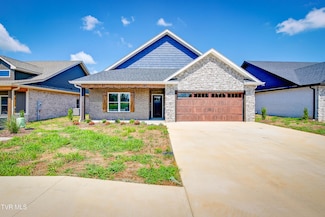 155 Marigold Ln, Jonesborough, TN 37659