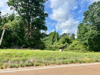 0 Lot 6 Hwy 24 Unit 4095667, Centreville, MS 39631