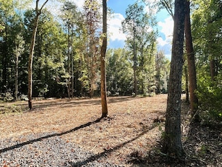 Tract 3 Pleasant Hill Rd, Ten Mile, TN 37880