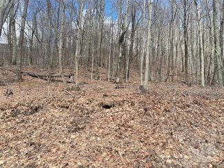 TBD Hamlin Ln, Mars Hill, NC 28754
