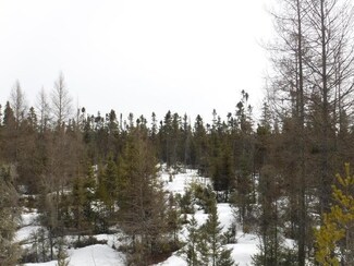 ON Koth Rd, Tomahawk, WI 54487