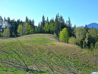 1002 Lemmon Rd, Port Angeles, WA 98362