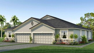 31442 Paper Birch St, Wesley Chapel, FL 33545