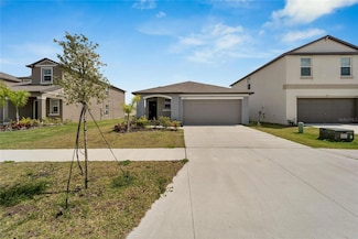 3186 Oyster Cove St, Wimauma, FL 33598