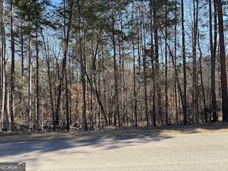 0 Skyline Way Unit 10490511, Lavonia, GA 30553