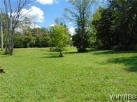 7423 Hayes Hollow Rd, West Falls, NY 14170