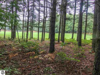 000-Unit 35 Trailside Cir N Unit 35, Weldon Township, MI 49683