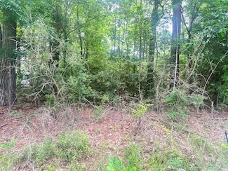 TBD Popher Creek Rd, Zavalla, TX 75980