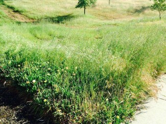 00 Bernal Ave, Moss Beach, CA 94038