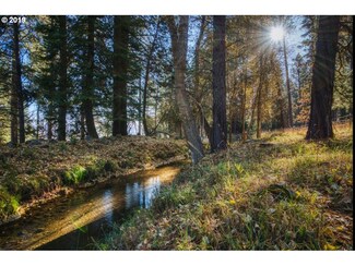 2 Scotch Creek Rd, Enterprise, OR 97828