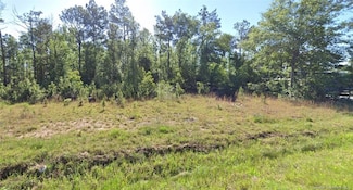 0 Lot 10 Newt Hodges Rd, Ragley, LA 70657