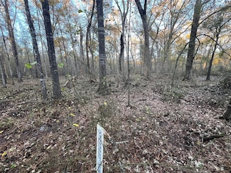 0 An County Road 354, Palestine, TX 75801