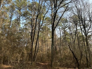 2994 Mount Zion Rd, Carrollton, GA 30117