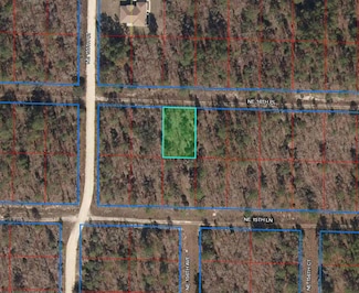 15580 NE 16th Place, Williston, FL 32696