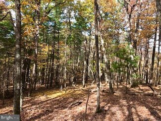 0 Moyers Gap Road (Stuffle Run) Unit WVPT2000384, Sugar Grove, WV 26815
