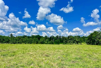 02 Carrier Rd, Pine Grove, LA 70453