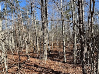 Lot 4 Cumberland Lakes Dr, Monterey, TN 38574