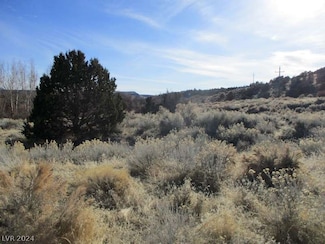 0 Nevada Hwy 322 (2 19 Ac), Pioche, NV 89043