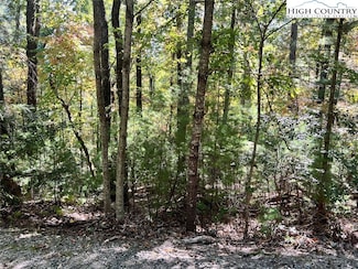 8 Laurel Rd, Purlear, NC 28665